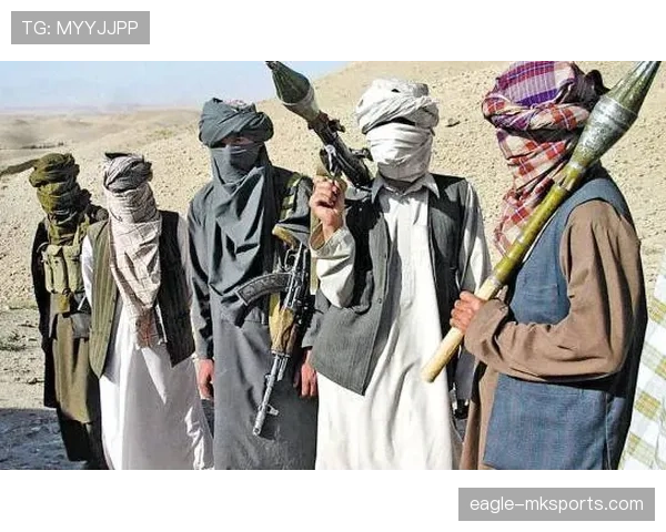 阿贾中路渗透事件引关注 专家解析背后意图与潜在影响