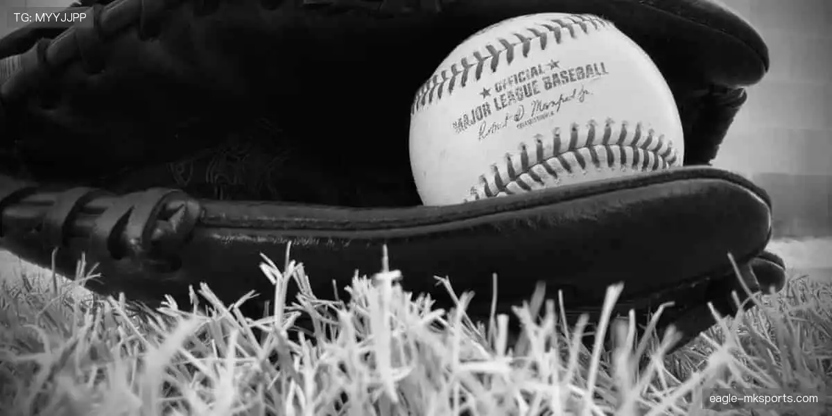 高清直播,细节尽收眼底👀